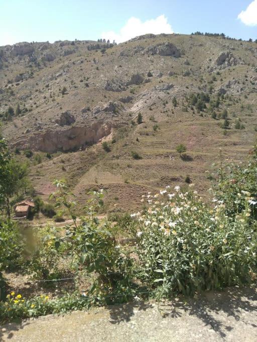 Appartamento Casa Concha Alcalá de la Selva Esterno foto